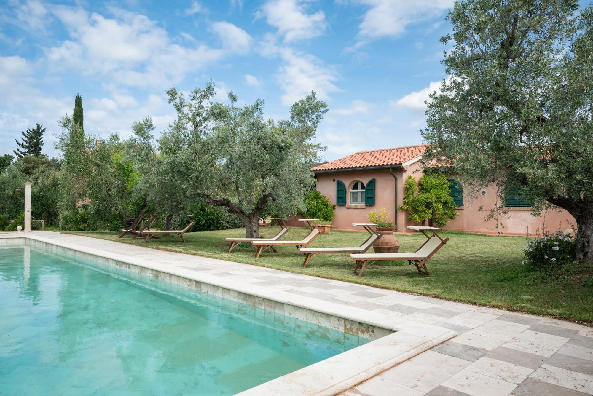 Agriturismo Tra Gli Ulivi, Chiappini Winery Bolgheri Exterior photo